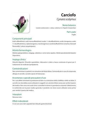 Carciofo - Piante medicinali