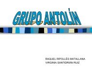 Grupo Antolin - OMEGA