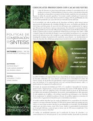 Policy Brief - Transformación del cacao silvestre - PIEB