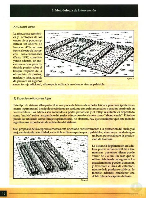 La AgroforesterÃ­a en la PequeÃ±a Propiedad del Secano - Inicio - Infor