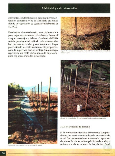 La AgroforesterÃ­a en la PequeÃ±a Propiedad del Secano - Inicio - Infor