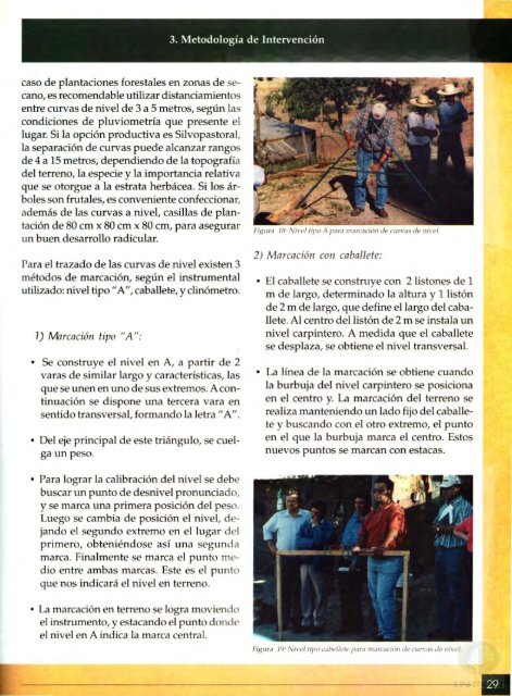 La AgroforesterÃ­a en la PequeÃ±a Propiedad del Secano - Inicio - Infor