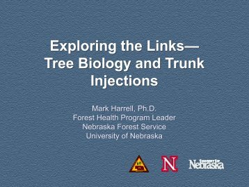 Exploring the Linksâ Tree Biology and Trunk Injections