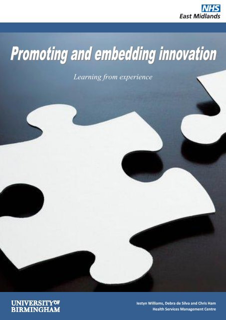 Promoting and Embedding Innovation