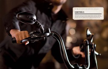 Controls & Handlebars - Sherwood Chapter