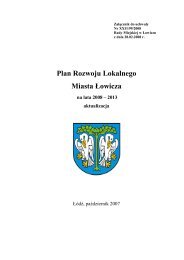 Plan rozwoju lokalnego miasta Åowicza na lata 2008-2013