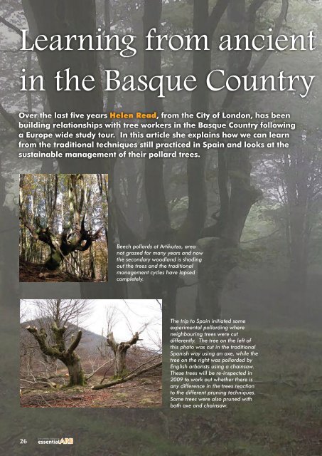 Learning from Basque ancient pollards - Forestry Journal