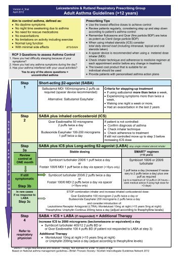 Adult Asthma Guidelines - Leicestershire Medicines Strategy Group