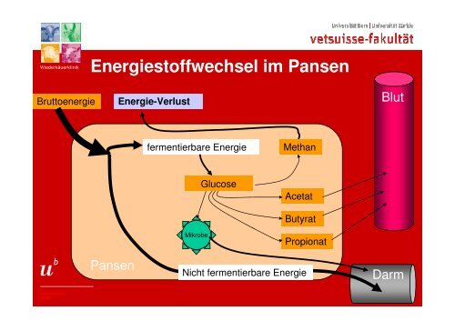 Akonzeption - AG fÃ¼r Tiergesundheit