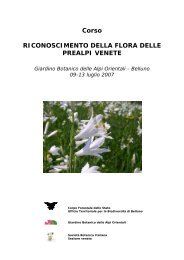 Corso RICONOSCIMENTO DELLA FLORA DELLE PREALPI VENETE