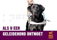 Wat te doen als u een geleidehond ontmoet? - KNGF Geleidehonden