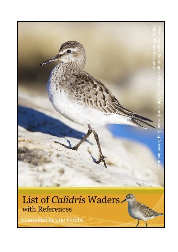 PDF - Dutch Birding