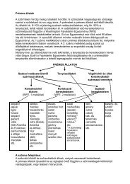 PrÃ©mes Ã¡llatok A szÅrmÃ©ket mindig meleg ruhakÃ©nt hordtÃ¡k. A ...