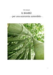 IL BAMBÃ - per una economia sostenibile - - Parco Naturale di ...