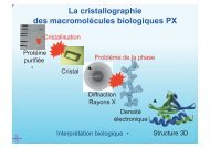 La cristallographie des macromolÃ©cules biologiques PX - Centre de ...