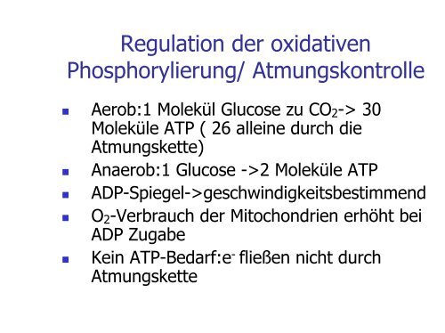 Atmungskette ( Endoxidation)