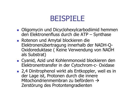 Atmungskette ( Endoxidation)