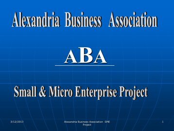 Alexandria Business Association - Small & Micro Enterprise Project.pdf