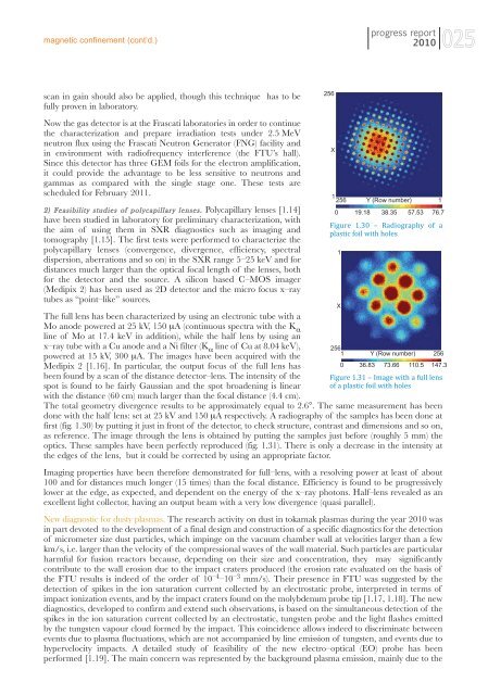 Prime pagine RA2010FUS:Copia di Layout 1 - ENEA - Fusione