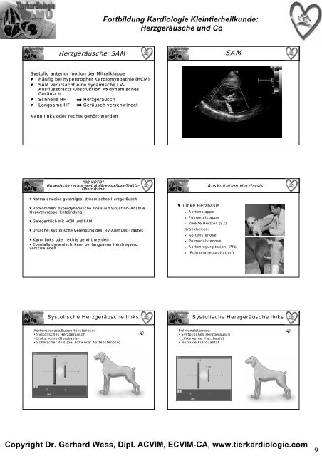 PropÃ¤deutik 2010 fÃ¼r 4tes Semester - Tierkardiologie der LMU ...