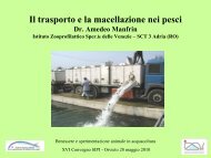 Il trasporto e la macellazione nei pesci - SIPI