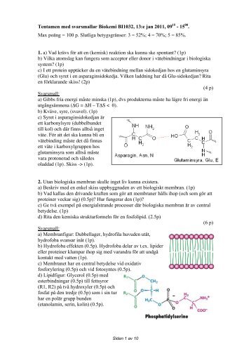 Tentamen med svarsmallar Biokemi BI1032, 13:e jan 2011, 0915 ...