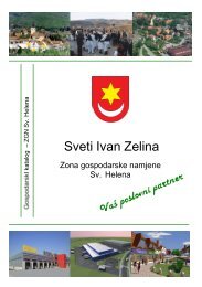 Grad Sveti Ivan Zelina