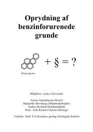 Oprydning af benzinforurenede grunde - Centre for Environmental ...