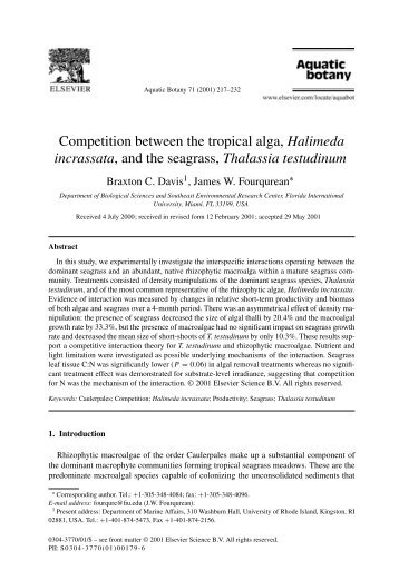 Competition between the tropical alga, Halimeda incrassata, and the ...