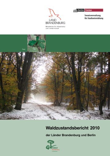 Waldzustandsbericht 2010 als pdf - Ministerium fÃ¼r Infrastruktur und ...