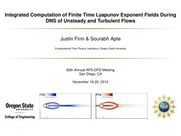 Integrated Computation of Finite Time Lyapunov Exponent During ...