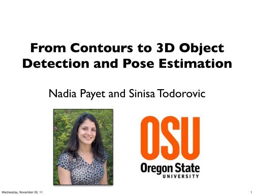 From Contours to 3D Object Detection and Pose Estimation