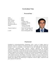 Curriculum Vitae - Politecnico di Torino