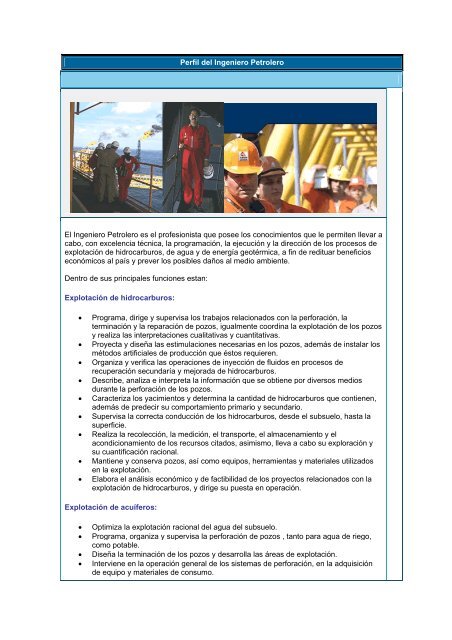 Perfil del Ingeniero Petrolero - Academia de IngenierÃ­a