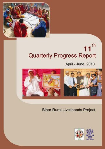 11th Quarterly Progress Report.pdf - Bihar Rural Livelihood ...