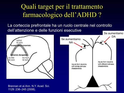 Metilfenidato - UniversitÃ  degli Studi di Catania