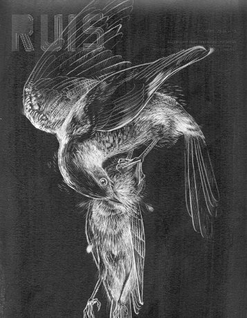 Download pdf - K-RAA-K