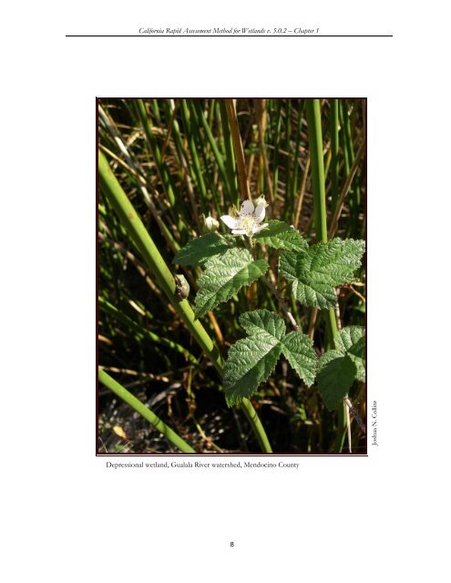 California Rapid Assessment Method for Wetlands - State Water ...