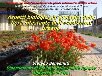 Aspetti biologici ed ecologici della flora infestante ... - Enrico Avanzi