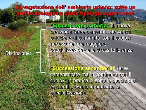 Aspetti biologici ed ecologici della flora infestante ... - Enrico Avanzi