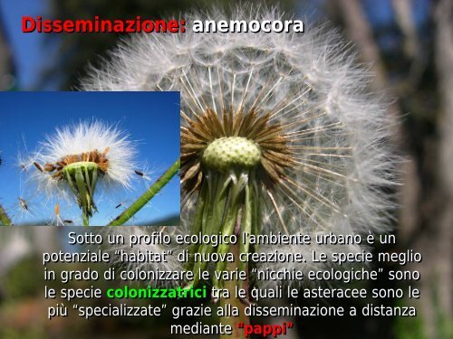 Aspetti biologici ed ecologici della flora infestante ... - Enrico Avanzi