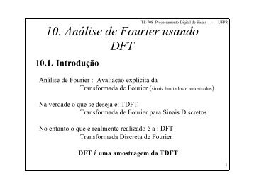 10. AnÃ¡lise de Fourier usando DFT