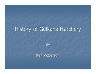 History History of Gulkana Hatchery - Ecotrust