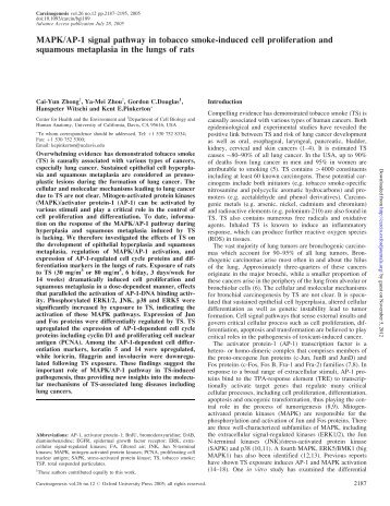 MAPK/AP-1 signal pathway in tobacco smoke ... - Carcinogenesis