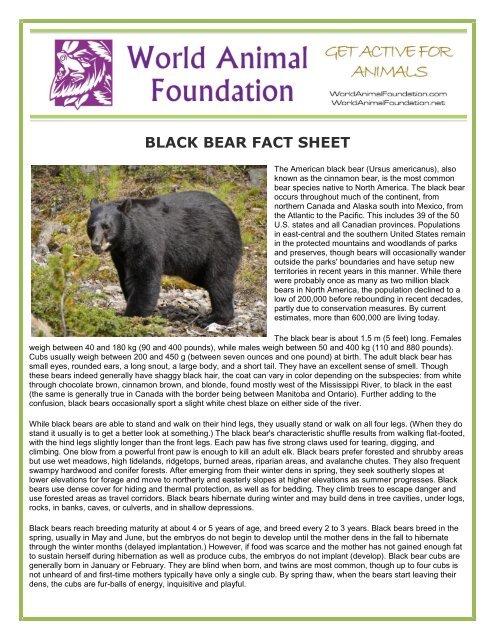 BLACK BEAR FACT SHEET - World Animal Foundation