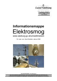 Infomappe Elektrosmog - Land Salzburg