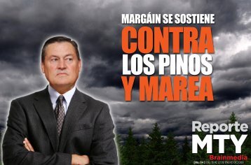 MARGÃIN SE SOSTIENE - Reporte Indigo