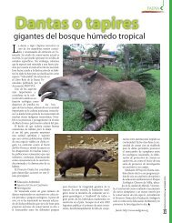 Dantas o tapires