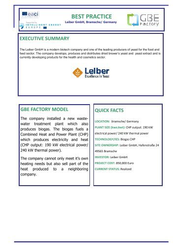 Download Leiber GmbH report - GBEfactory