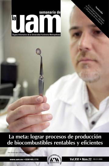 La meta: lograr procesos de producciÃ³n de biocombustibles ...